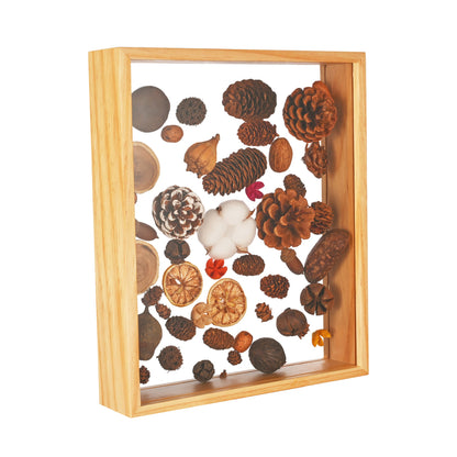 JIYUERLTD Boîte à trésors à collectionner en bois - 12" Organisez, affichez et mettez en valeur vos objets de collection, blocs, fleurs séchées, pommes de pin et coquillages avec style !